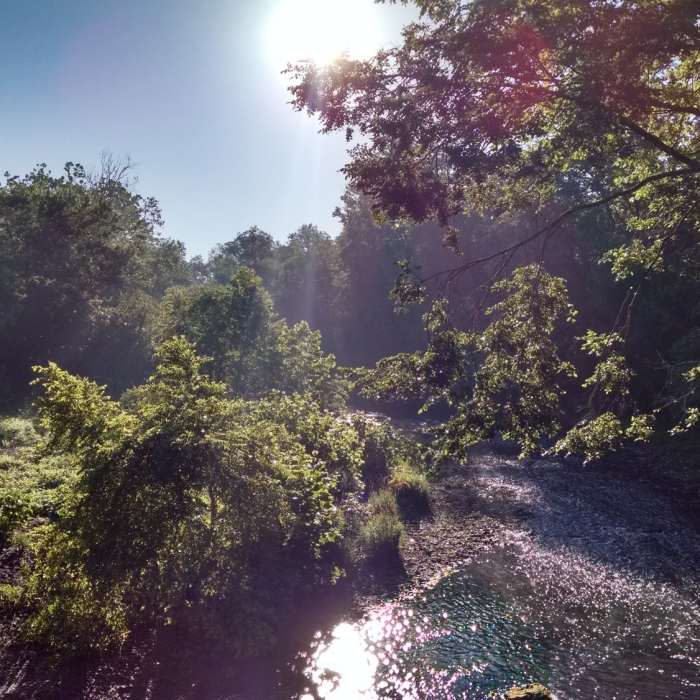 Near Mill Race Trail