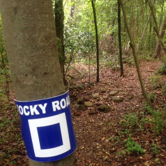 Near SFA Recreational Trails & Gardens