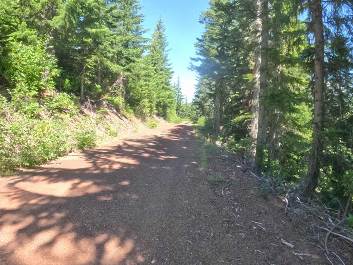 Section 3 Road - FS 2067525  photo 5