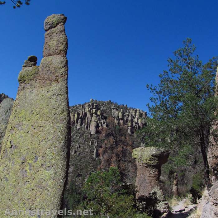 Near Mushroom Rock Trail