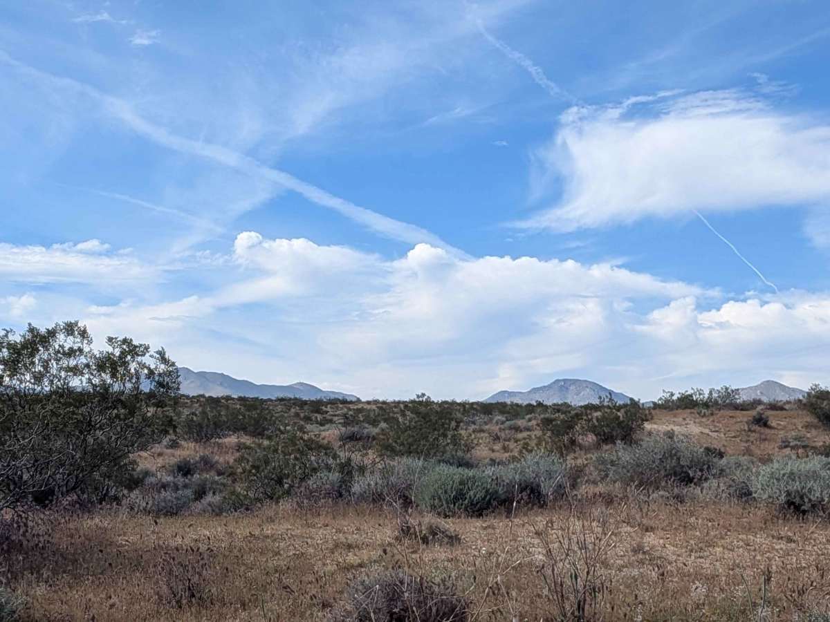 BLM LAP Indian Wells Canyon photo 3