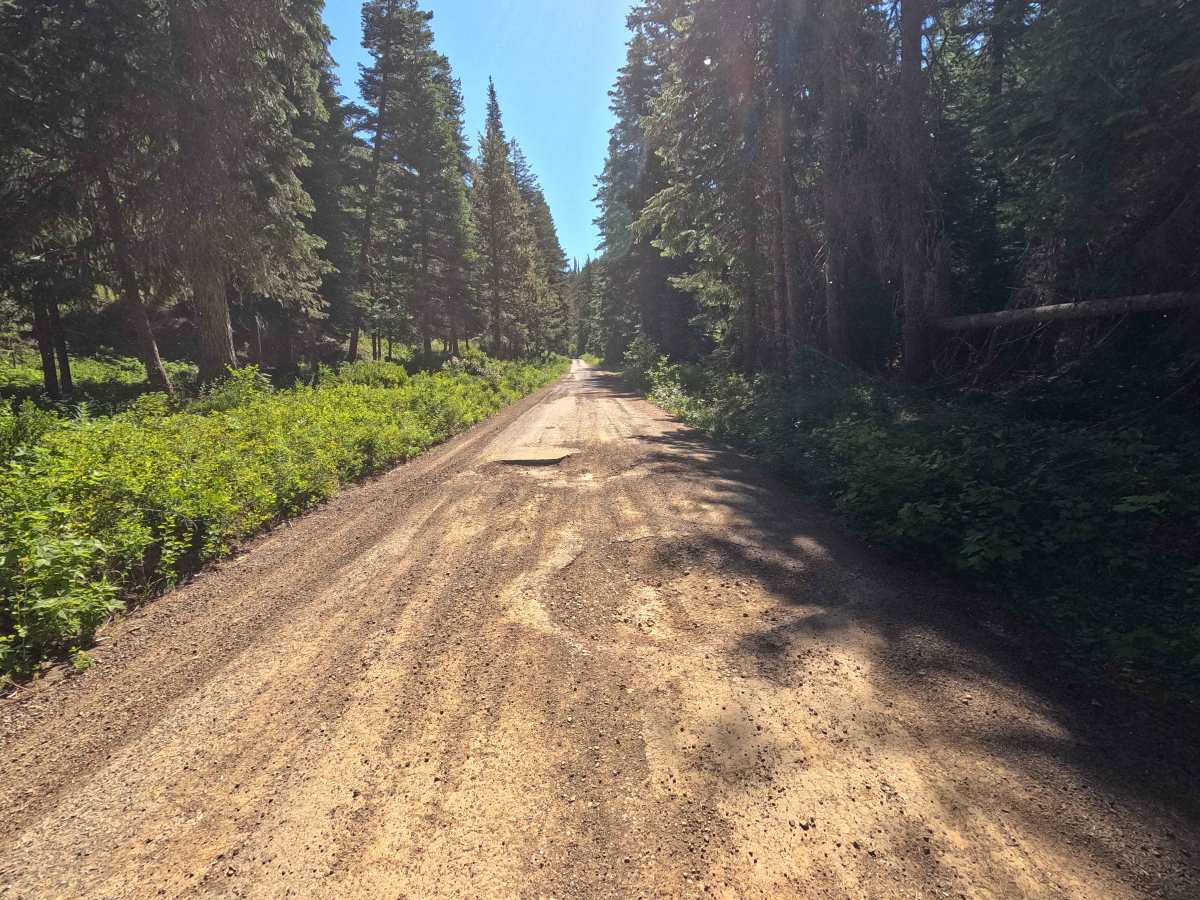 Jack Creek Road - FS 9738 photo 5