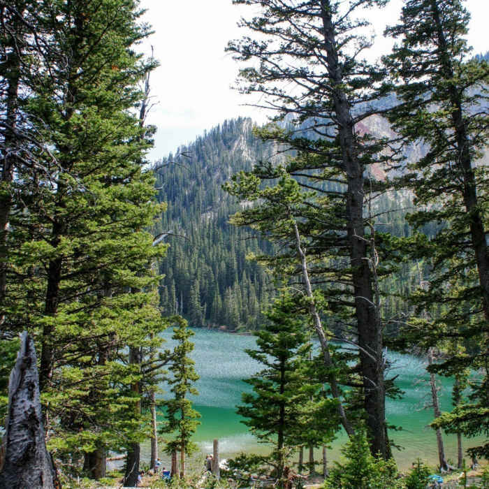 First glimpse of the lake Near Fairy Lake Trail