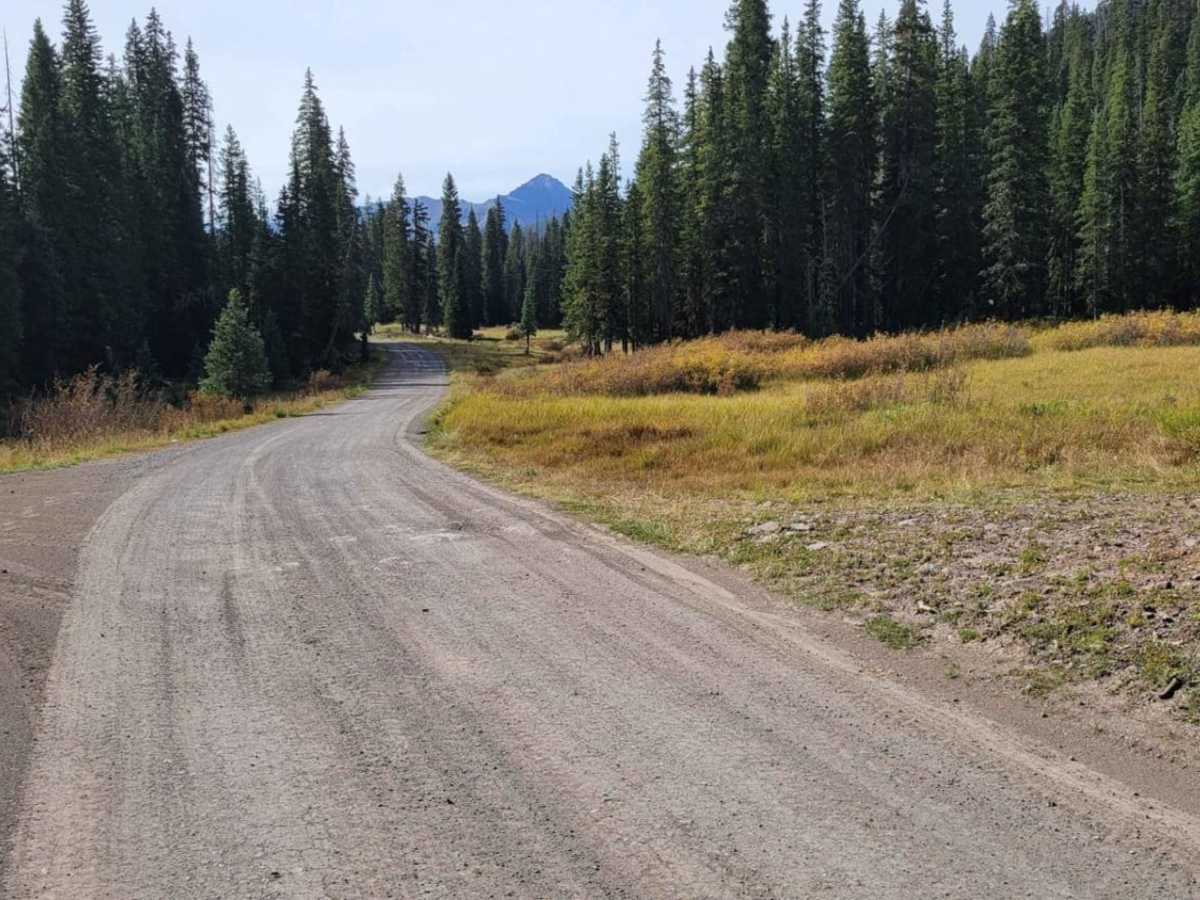 West Fork Cimarron Road photo 4