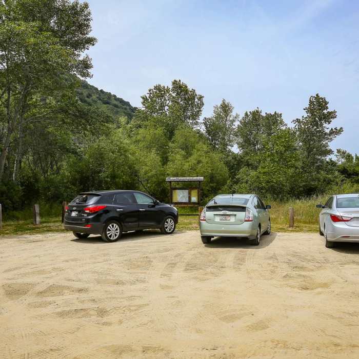 Near Fern Falls Hike