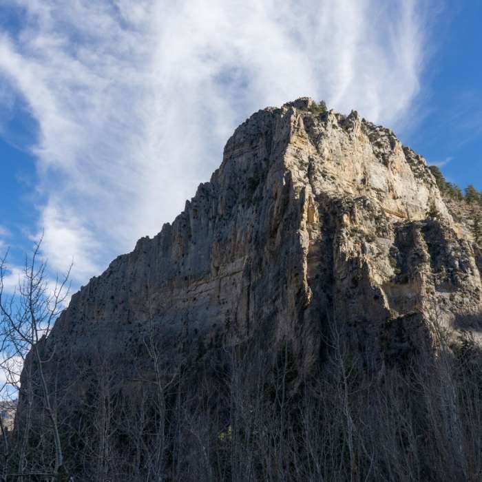 Near Cathedral Rock Trail
