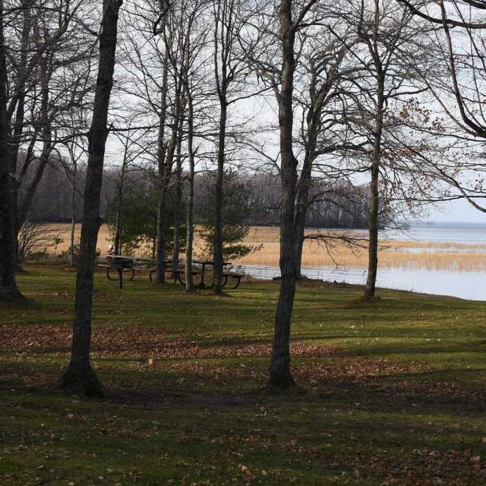 Near Hiking Club Trail