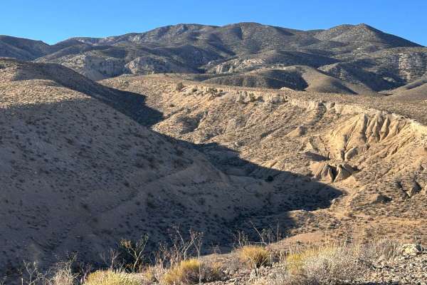 Falcon Ridge