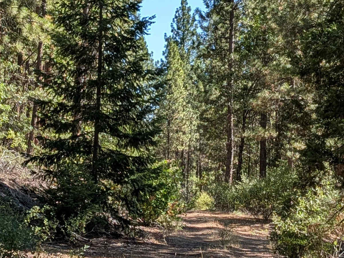 West Fort Mountain - FS 37N02Y photo 4