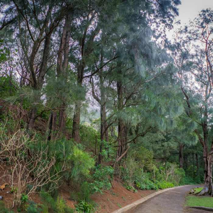 Near Pali Notches Near Pali Notches