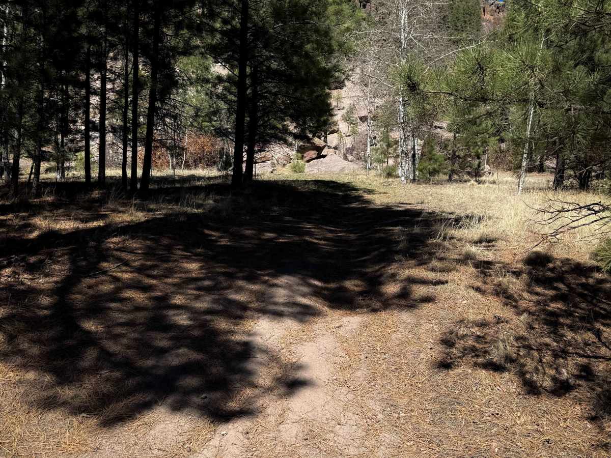 Lake Fork Mesa - 505  photo 6