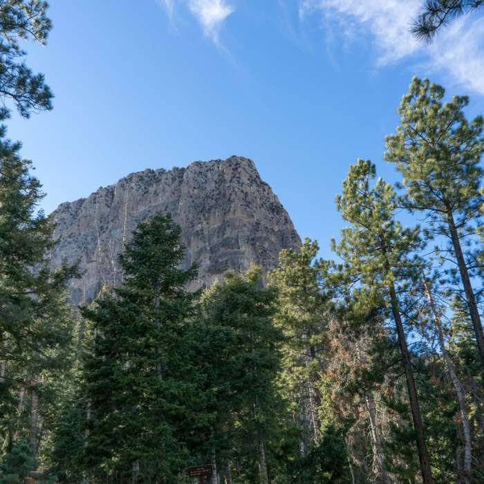 Near Cathedral Rock Trail