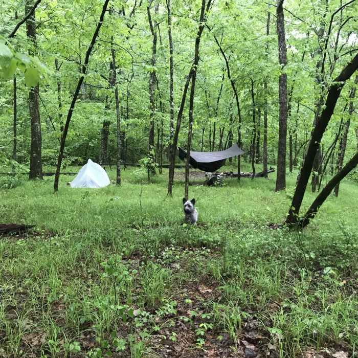 Near Caney Creek Trail