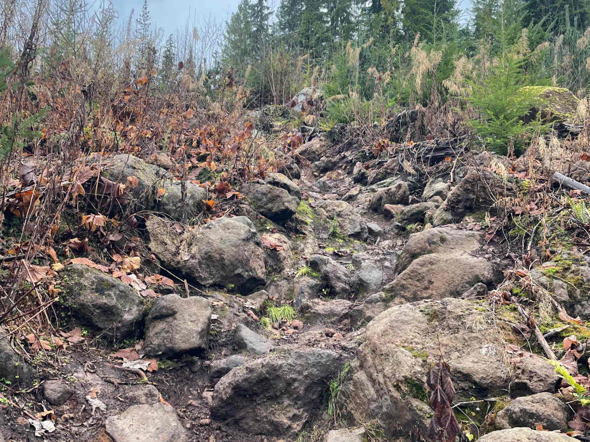 Steambreather 1 trail photo
