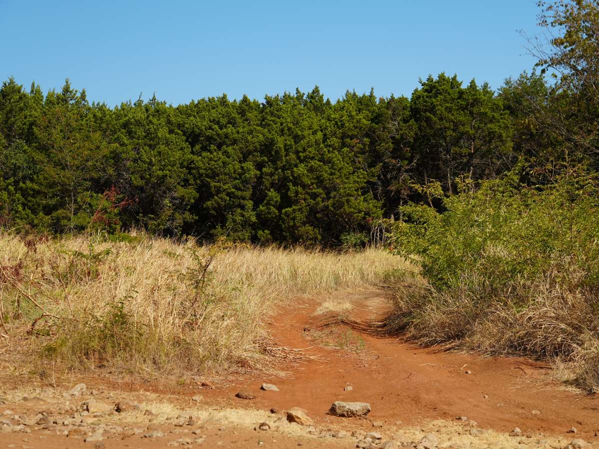 Blue 16 trail photo