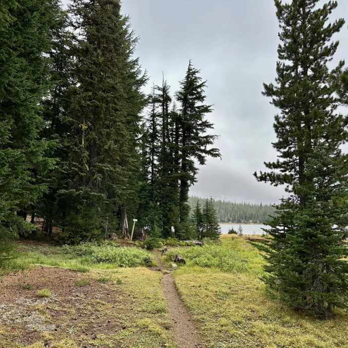 Near Three Creek Lake Loop