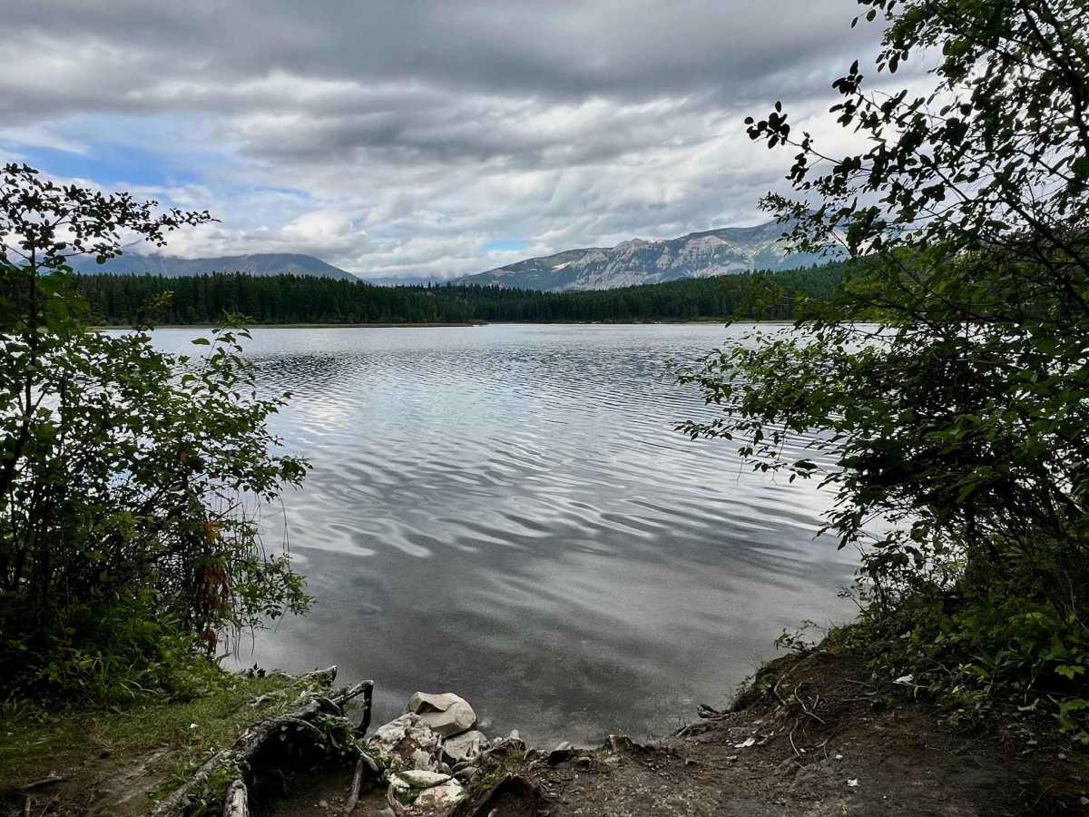 Suzanne Lake Road trail photo