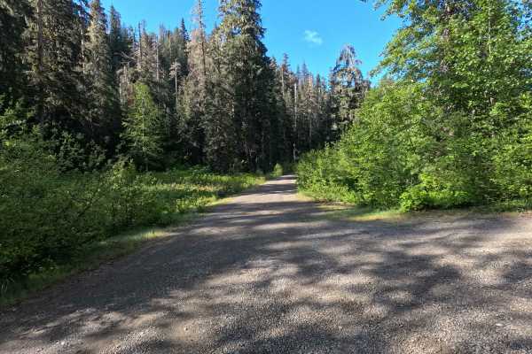 Blue Lake - FS 1230