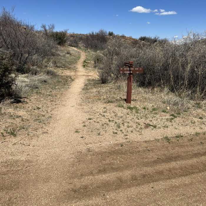 Near Arizona Trail Passage 13: Oracle State Park Near Arizona Trail Passage 13: Oracle State Park