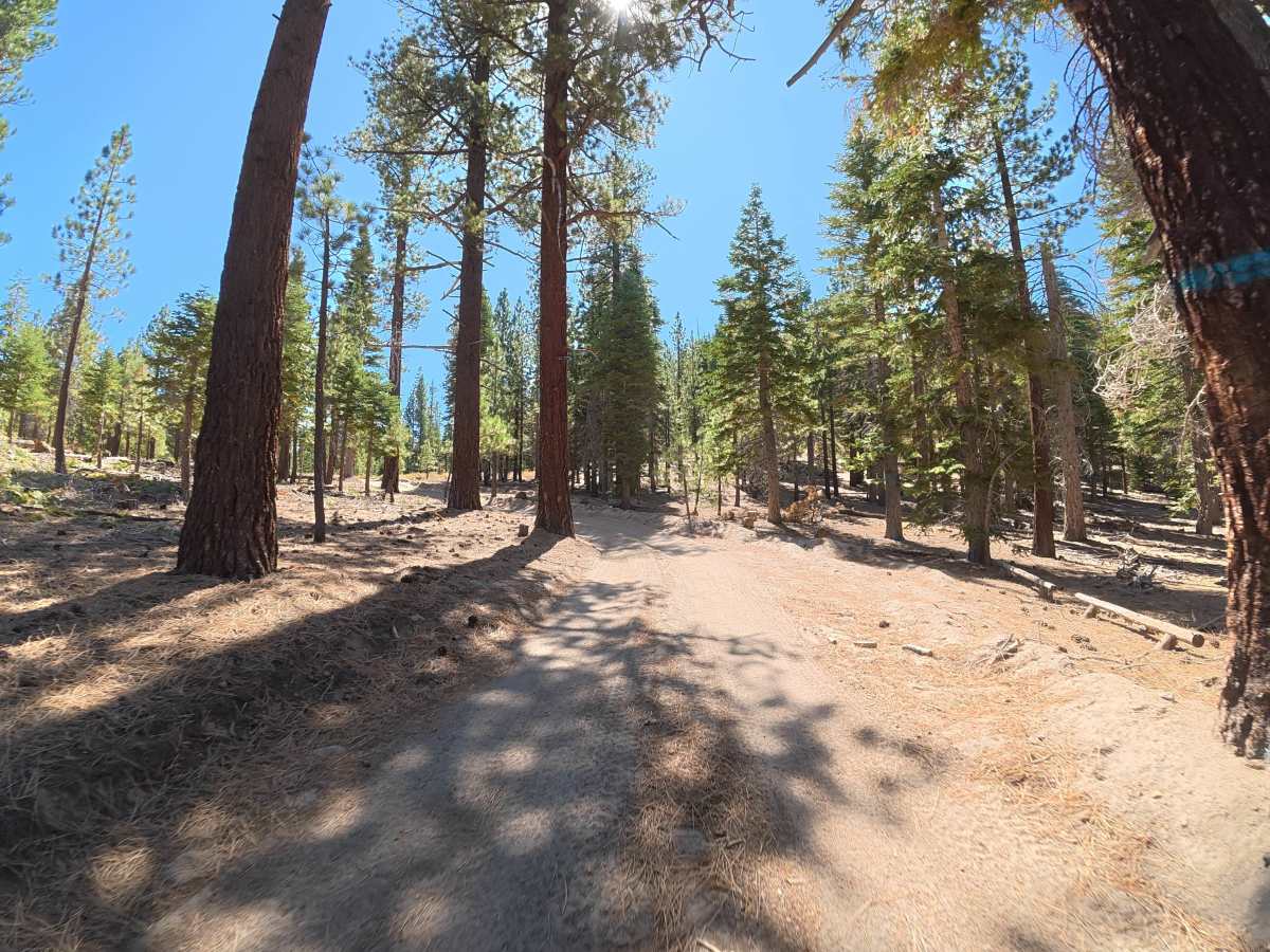 Dry Creek Road - FS 3S117 trail photo
