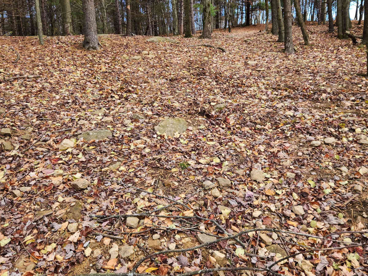 OHV 5L - Rock Run Recreation Area photo 4