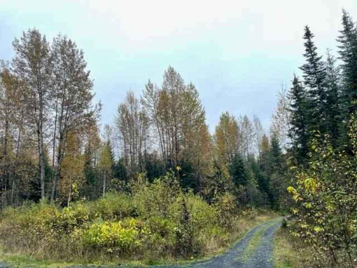 Jigsaw Lake Recreational Site photo 5