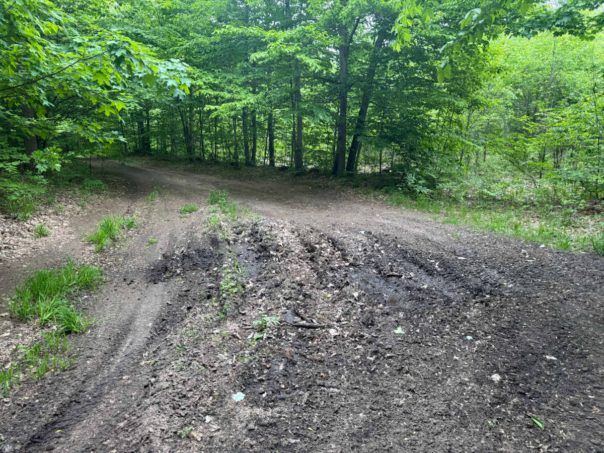 Kalverse Trail North photo 5