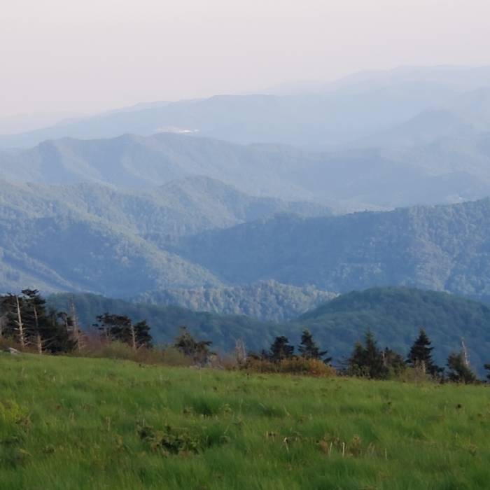 Heading towards Grassy Ridge Bald. Near AT: Carver's Gap to US19E