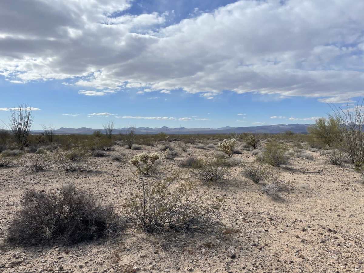 LOOK! a Ridgeline trail photo