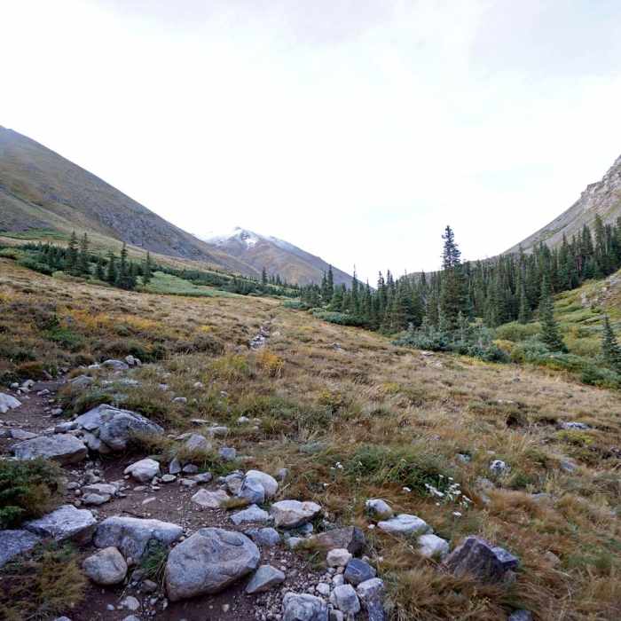 Near Missouri Mountain