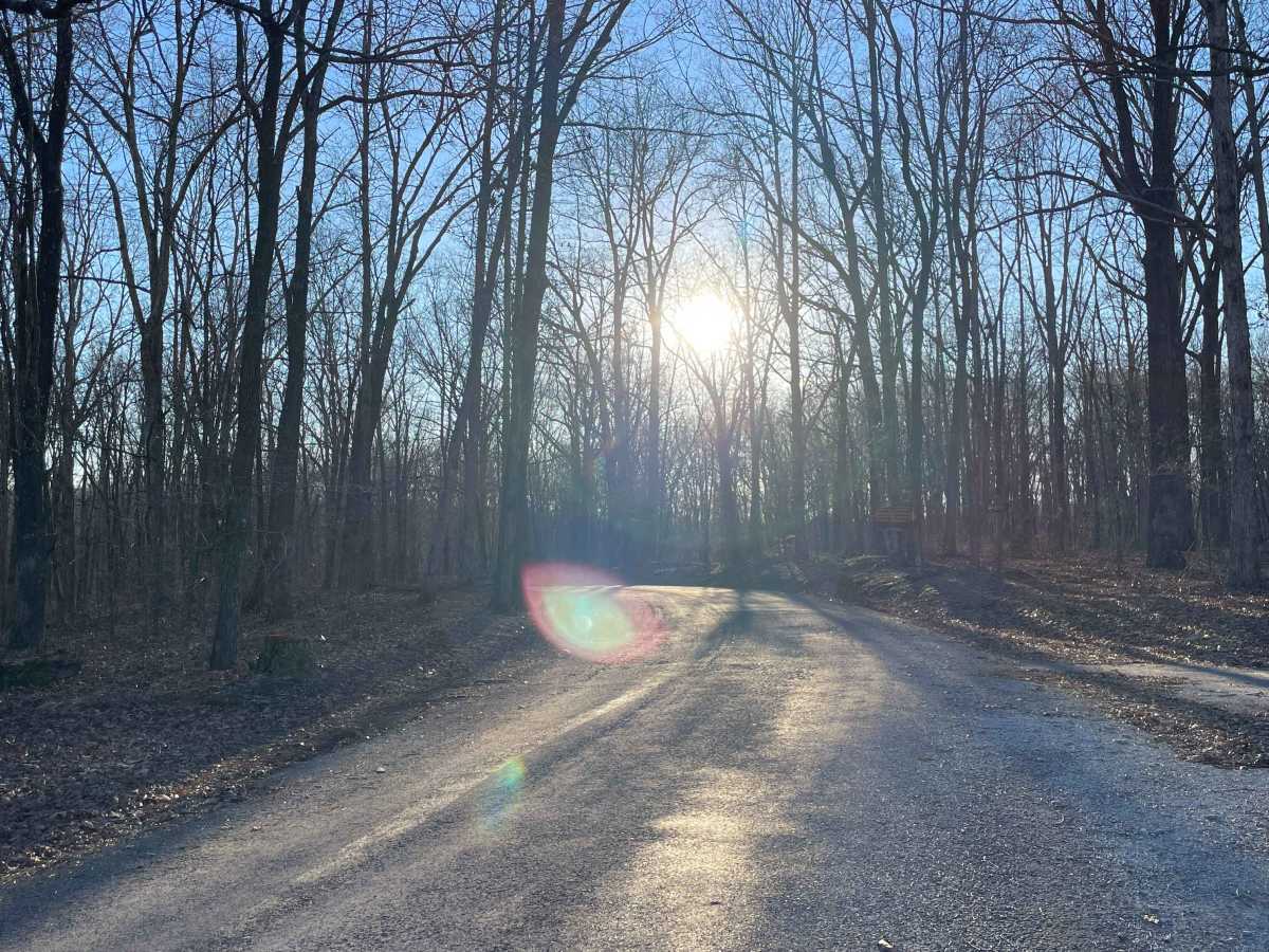 VFW Road photo 2
