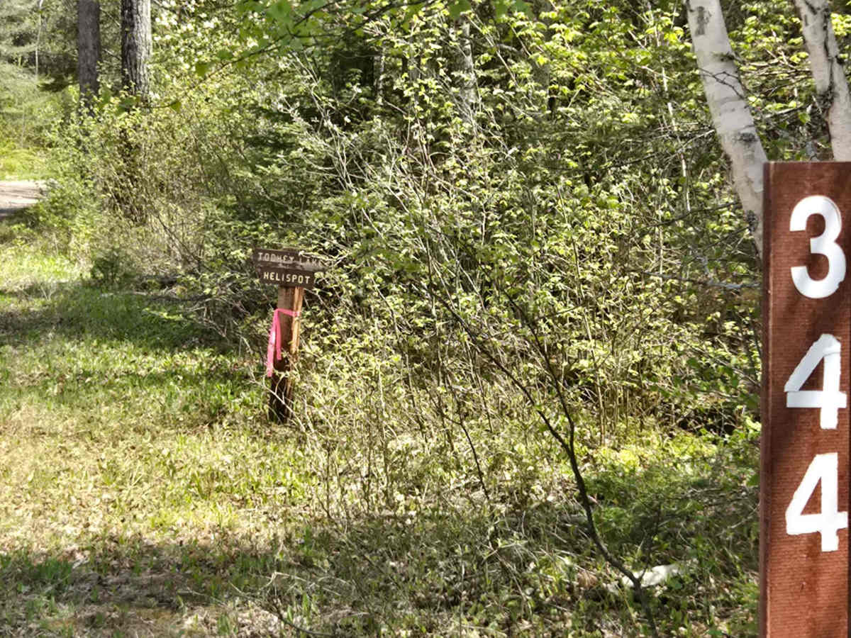Wringer Lake Road trail photo