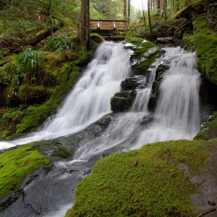 Near Horseshoe Ridge via Siouxon Trail