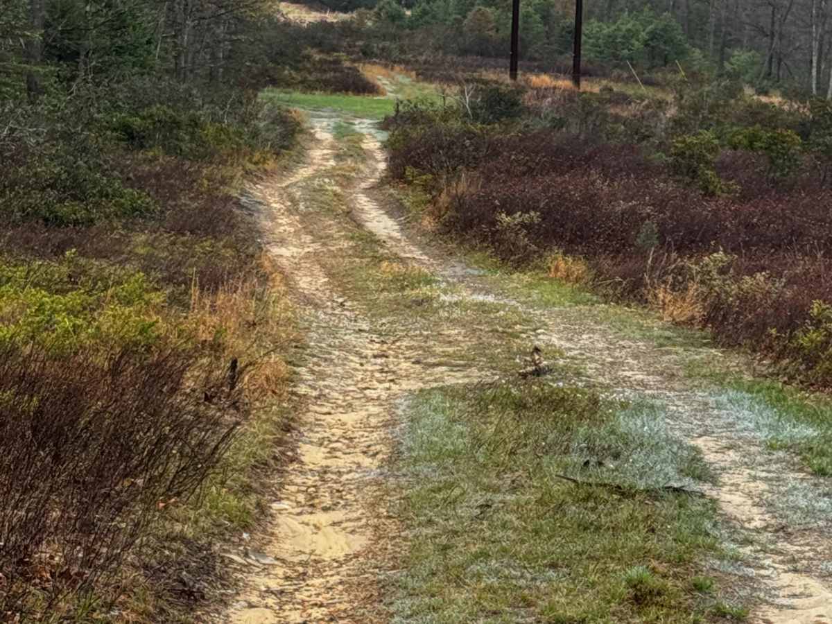 Eagleton Powerline Trail photo 6