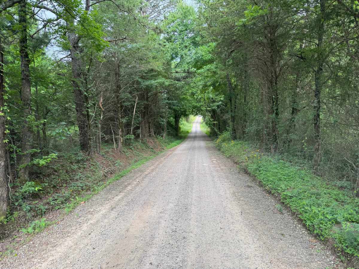 County Road 3550 photo 2