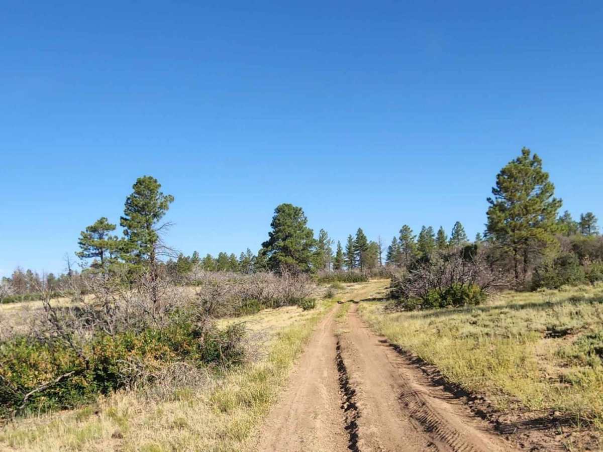Beaver Rim F Road photo 4