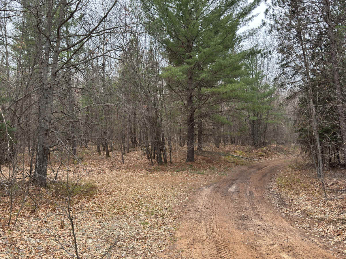 Wandering Trail photo 3