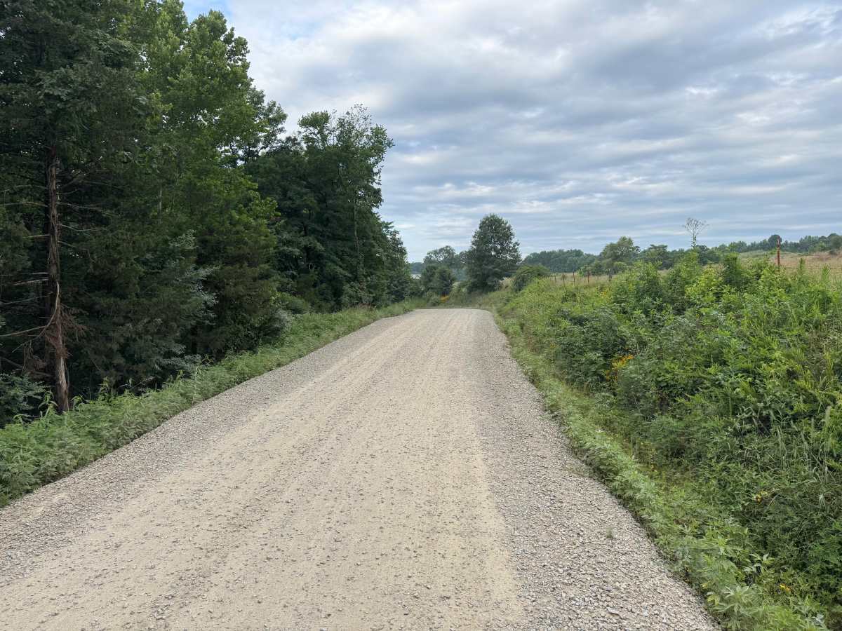 County Road 4451 photo 6