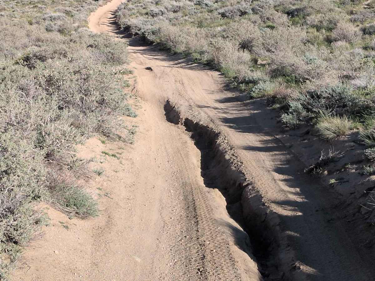 BLM SC42 photo 3
