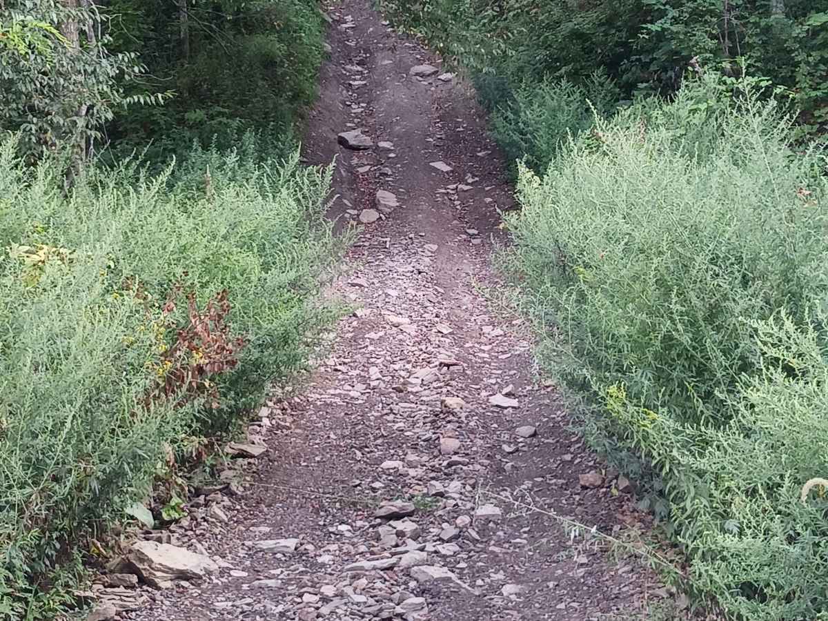 Black Diamond - Rock Run Recreation Area photo 5