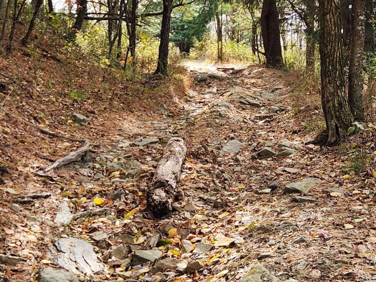 OHV 14 - Rock Run Recreation Area photo 3