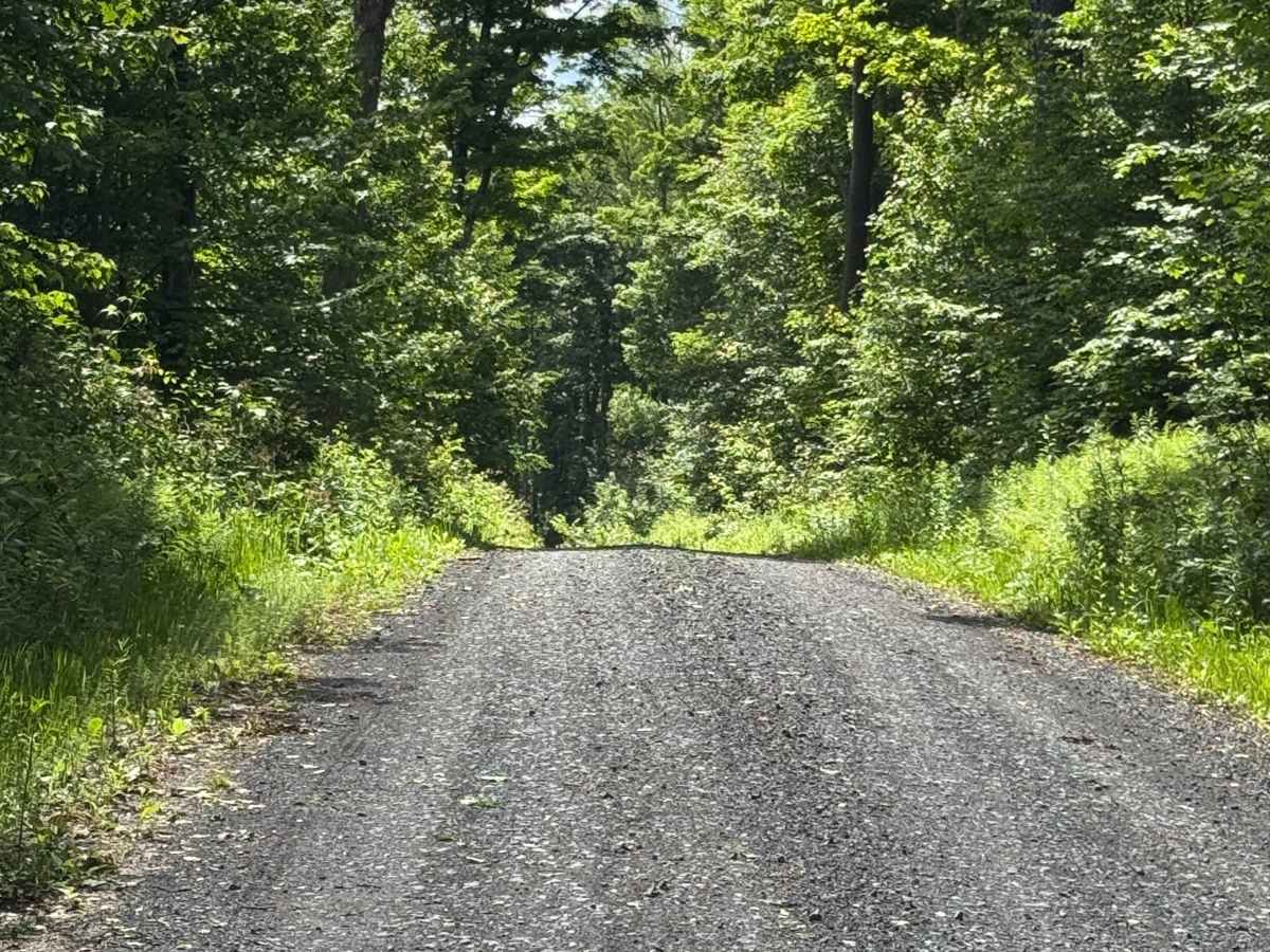 Sunken Branch Road photo 3