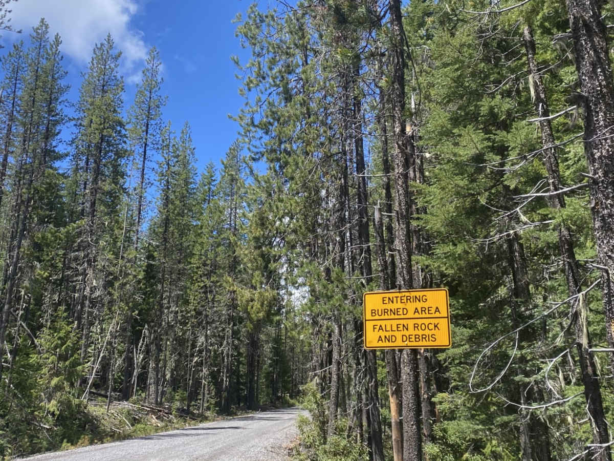 Sheep Creek trail photo