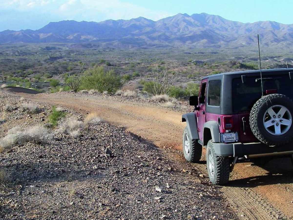 Mohave Wash photo 3