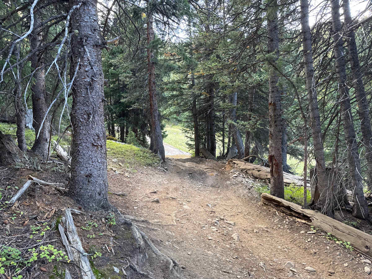 SOB Hill photo 6