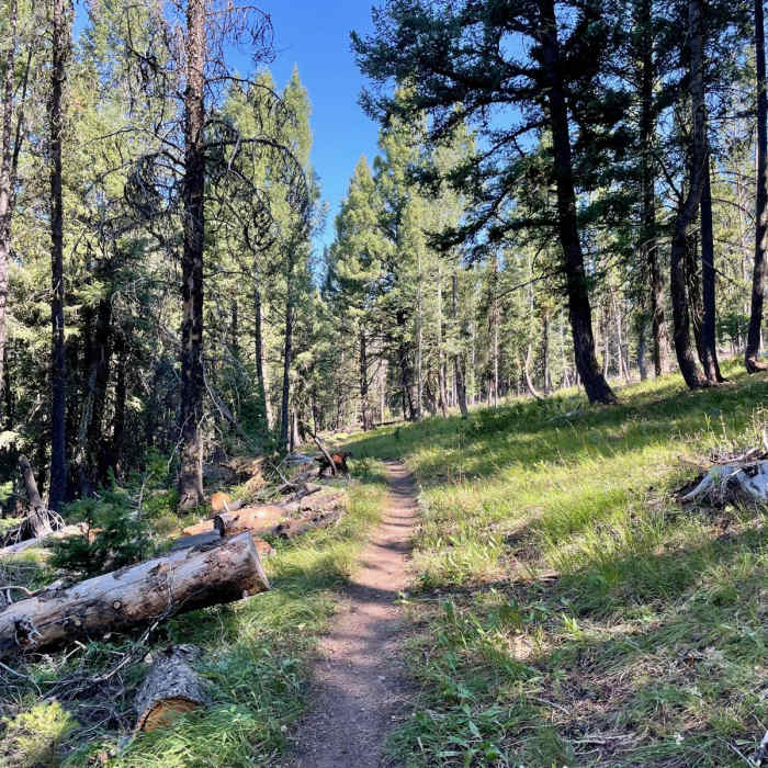 Near Continental Divide Trail: Montana-Idaho Section 12