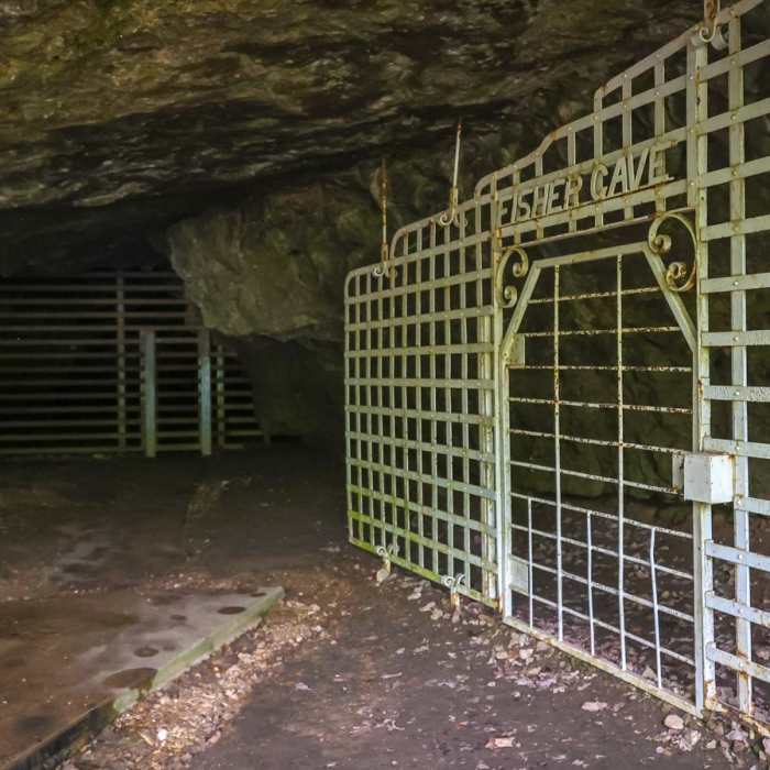 Near Walking Fern Trail Near Walking Fern Trail