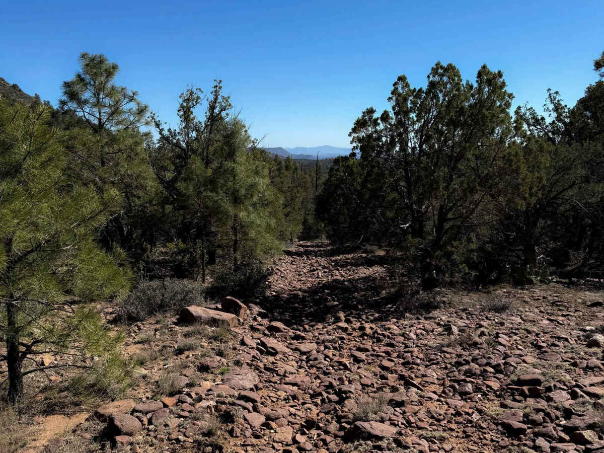 Grapevine Springs #9825  trail photo