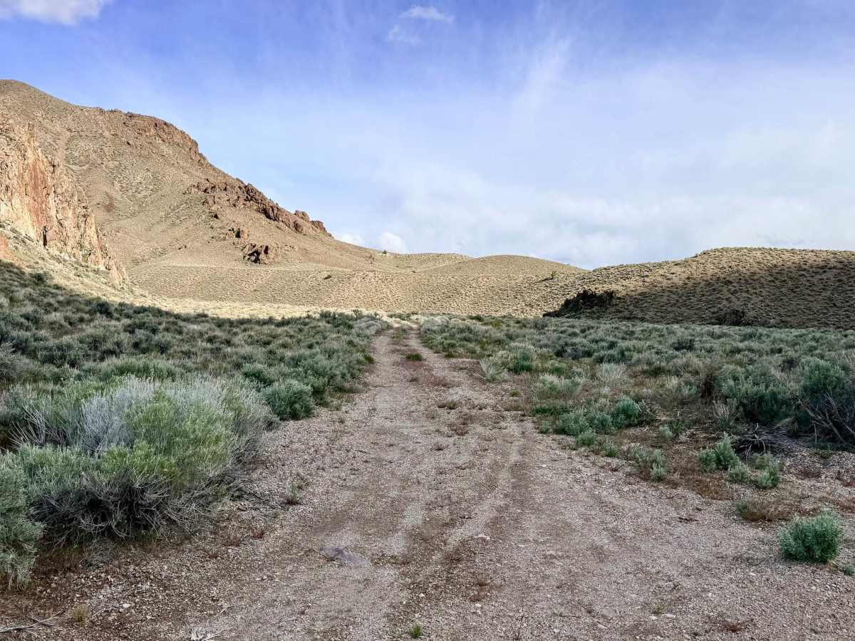  Horse Creek - FS 44166 photo 4