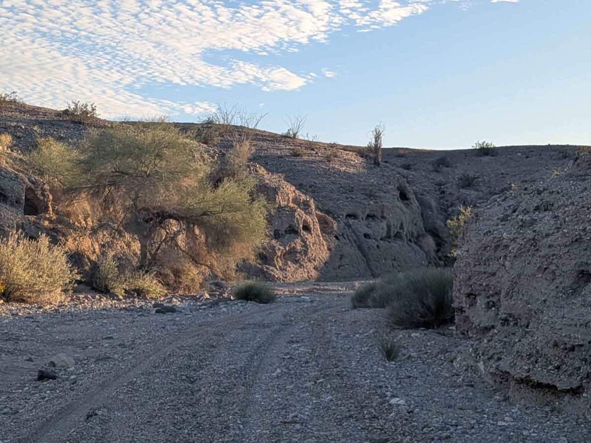 BLM 654 photo 6